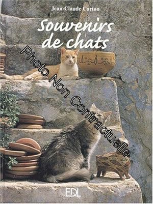 Image du vendeur pour Souvenirs de chats mis en vente par Dmons et Merveilles