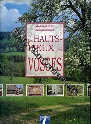 Seller image for Les hauts lieux des vosges for sale by Dmons et Merveilles