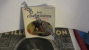 Seller image for Les chemines : Leur construction leur dcor (Marabout flash) for sale by Dmons et Merveilles