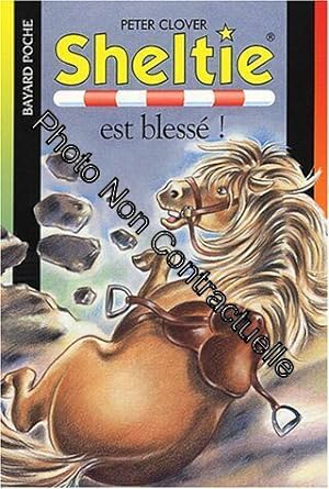 Bild des Verkufers fr Sheltie tome 20 : Sheltie est bless zum Verkauf von Dmons et Merveilles