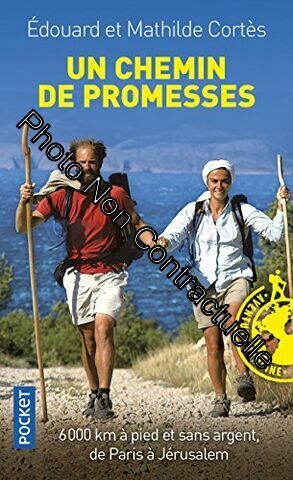 Seller image for Un chemin de promesses for sale by Dmons et Merveilles