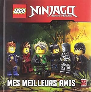 Ninjago : Mes meilleurs amis