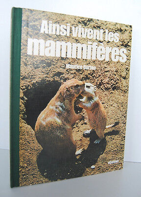 Seller image for AINSI VIVENT LES MAMMIFERES par Maurice Burton for sale by Dmons et Merveilles