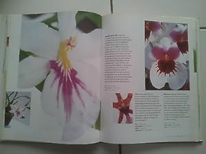 Image du vendeur pour Le grand livre des orchides les connaitre les choisir par W et B Rittershau mis en vente par Dmons et Merveilles