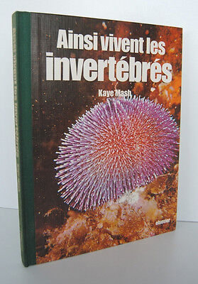 Imagen del vendedor de AINSI VIVENT LES INVERTEBRES par Kaye Mash a la venta por Dmons et Merveilles