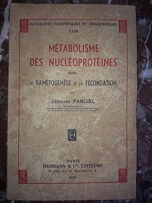 Imagen del vendedor de Mtabolisme des nucloprotines hermanncie a la venta por Dmons et Merveilles