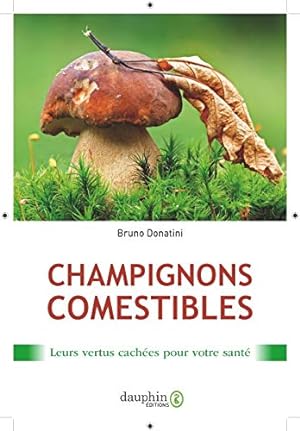 Champignons comestibles: LEURS VERTUS CACHÉES POUR VOTRE SANTÉ