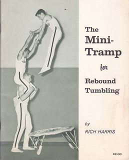 The Mini-Tramp for Rebound Tumbling