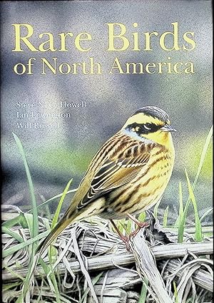 Seller image for Rare Birds of North America for sale by Liberty Book Store ABAA FABA IOBA