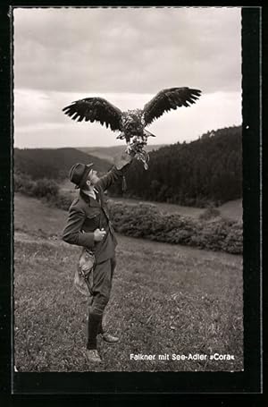 Ansichtskarte Nagold /Schwarzwald, Falkenhof Walddorf, Falkner mit See-Adler Cora