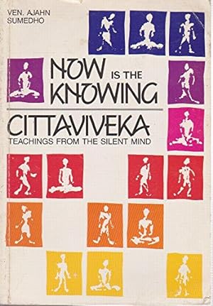 Bild des Verkufers fr Cittaviveka: Teachings from the silent mind zum Verkauf von WeBuyBooks
