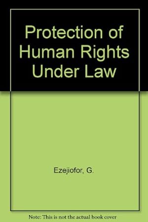 Bild des Verkufers fr Protection of Human Rights Under Law zum Verkauf von WeBuyBooks