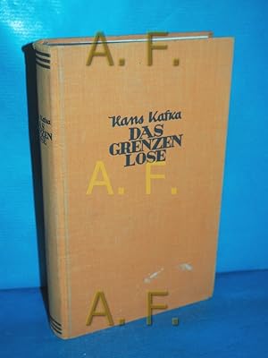 Imagen del vendedor de Das Grenzenlose : 25 Geschichten Die Romane des 20. Jahrhunderts a la venta por Antiquarische Fundgrube e.U.