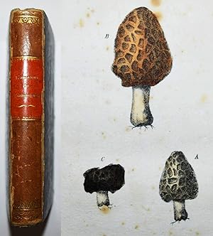 Guide de l'amateur le champignons, on précis de l'histoire des champignons alimentaires, vénéneux...