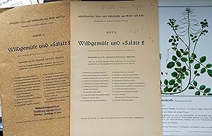 Wildgemüse und -Salate 20 lose Bilder aus Mappe 1: 20 heimische Wildpflanzen als Nahrungsmittel i...