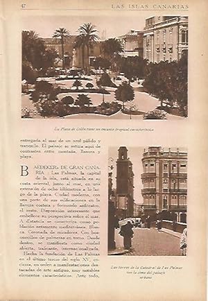 Imagen del vendedor de LAMINA 5459: Plaza de Colon y Catedral de Las Palmas a la venta por EL BOLETIN