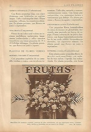 Seller image for LAMINA 5480: Ramo con rosas crisantemos nardos y jazmines for sale by EL BOLETIN