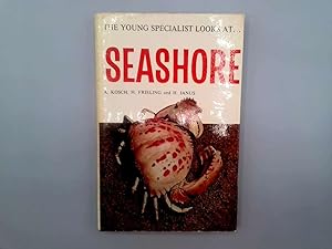 Seller image for Seashore (Young Specialist Looks at) for sale by Goldstone Rare Books