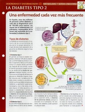 Bild des Verkufers fr LAMINA V28652: La diabetes tipo 2 zum Verkauf von EL BOLETIN