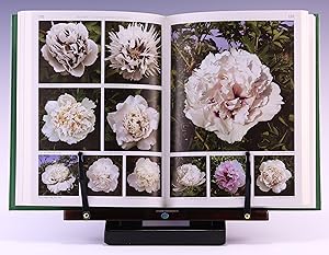 Seller image for Peony Rockii and Gansu Mudan for sale by Salish Sea Books