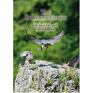 Image du vendeur pour The Peregrine Falcon mis en vente par Buteo Books