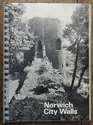 Norwich City Walls