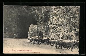 Carte postale Aulus, Les Pyrénées Ariégeoises, Tunnel de Kercabanac, Route de St-Girons à Aulus