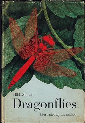 Bild des Verkufers fr Dragonflies zum Verkauf von UHR Books