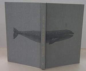 Journal aboard the Bark Ocean Bird on a Whaling Voyage to Scammon's Lagoon, winter of 1858-1859