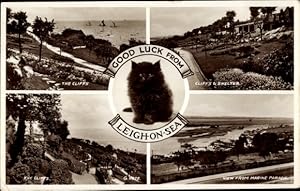 Ansichtskarte / Postkarte Leigh on Sea Essex England, The Cliffs, Cliffs und Shelter, View from M...