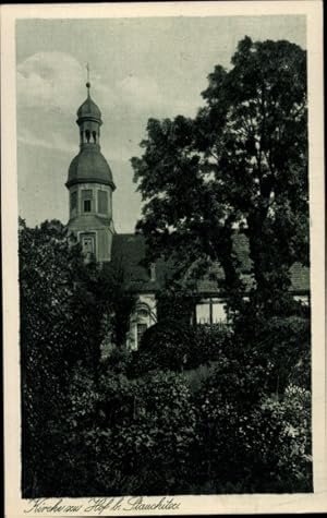 Ansichtskarte / Postkarte Hof Naundorf in Sachsen, Blick zur Kirche, Bäume