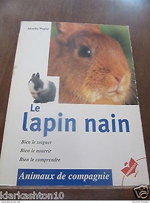 le lapin nain bien le soigner bien le nourrir