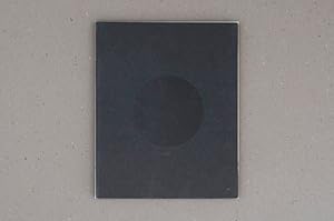 Urs Lüthi : The Revenge / The Remains of Clarity - nummeriertes und signiertes Artistbook (German...