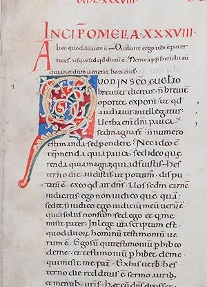 [White vine initial] Tractatus in Iohannem, Homilies. Leaf with finely painted initial, parchment...