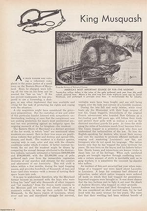 Seller image for King Musquash and His Empire: The Muskrat, America's Most Important Source of Fur. An original article from the American Review of Reviews, 1930. for sale by Cosmo Books