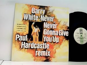 Bild des Verkufers fr Never, Never Gonna Give You Up - Paul Hardcastle Remix zum Verkauf von ABC Versand e.K.