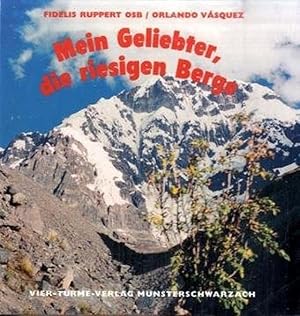 Bild des Verkufers fr Mein Geliebter, die riesigen Berge: Erfahrungen in den Bergen von Peru zum Verkauf von buchlando-buchankauf