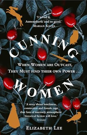 Seller image for Cunning Women for sale by BuchWeltWeit Ludwig Meier e.K.