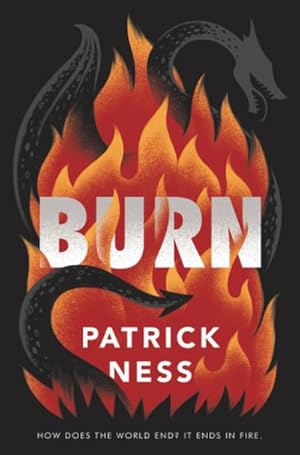 Seller image for Burn for sale by Rheinberg-Buch Andreas Meier eK