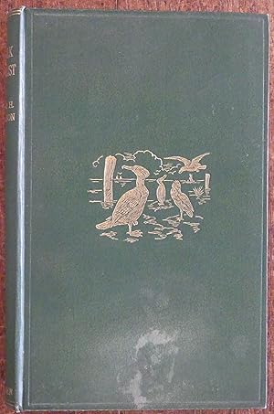 A Norfolk Naturalist Observations on Birds, Mammals and Fishes