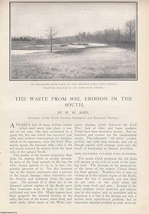 Seller image for The Waste from Soil Erosion in the Southern United States. TOGETHER WITH Saving America's Plant Food: Government Withdrawal of the Great Phosphate Beds of the West to Prevent Exportation. A pair of original articles from the American Review of Reviews, 1909. for sale by Cosmo Books