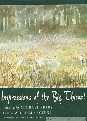 Impressions of the Big Thicket (Number 4, Blaffer Series of Southwestern Art)