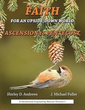 Seller image for Faith for an Upside-Down World : Ascension to Pentecost for sale by AHA-BUCH GmbH