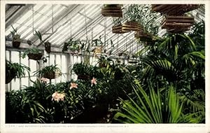 Image du vendeur pour Ansichtskarte / Postkarte Washington DC USA, White House Conservatories, Mrs Roosevelt's Orchid Collection mis en vente par akpool GmbH
