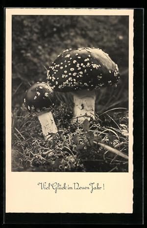 Bild des Verkufers fr Ansichtskarte Neujahrsgruss, Pilze zum Verkauf von Bartko-Reher