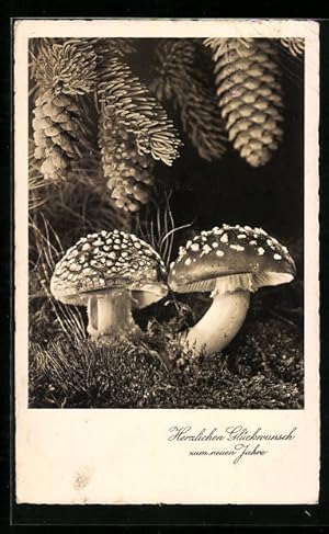 Bild des Verkufers fr Ansichtskarte Pilze und Tannenzapfen, Neujahrsgruss zum Verkauf von Bartko-Reher