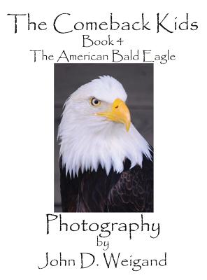 Bild des Verkufers fr The Comeback Kids, Book 4, the American Bald Eagle (Hardback or Cased Book) zum Verkauf von BargainBookStores