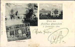 Ansichtskarte / Postkarte Bród Braunsforth Kreis Saatzig Pommern, Forsthaus Braunsforth, Schloss,...