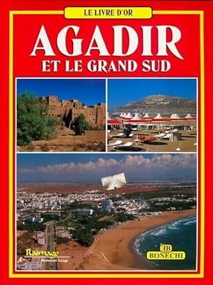 Seller image for Agadir e il grande sud. Ediz. Francese - Mohamed Temsamani for sale by Book Hmisphres