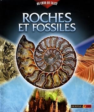 Roches et fossiles - Margaret Hynes